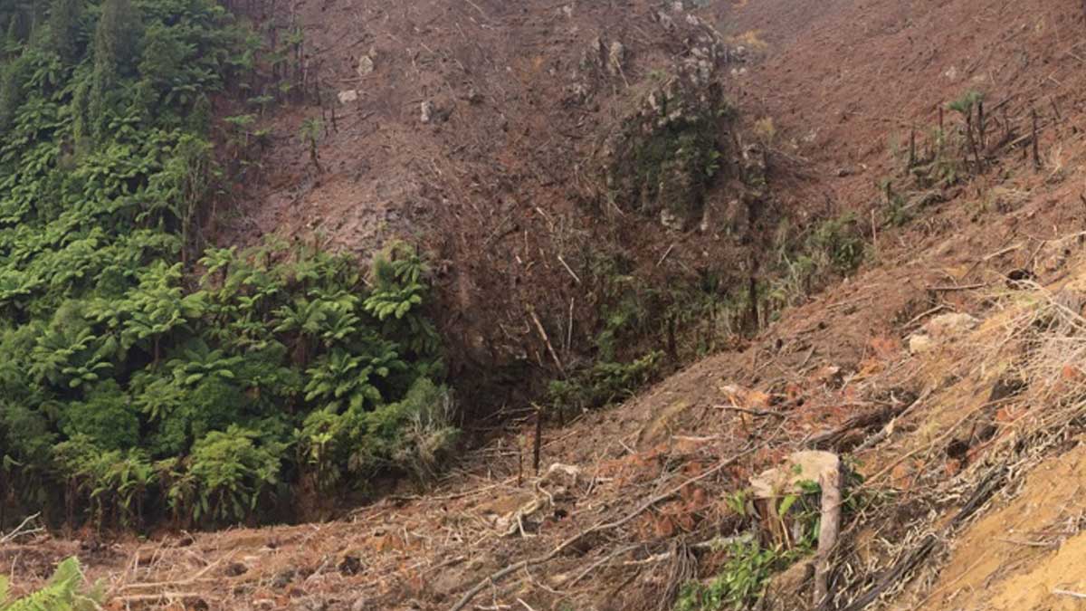 Thoughts on trail muntage