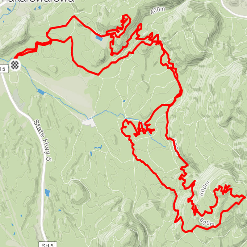 Dusters, a poodle, and three lions