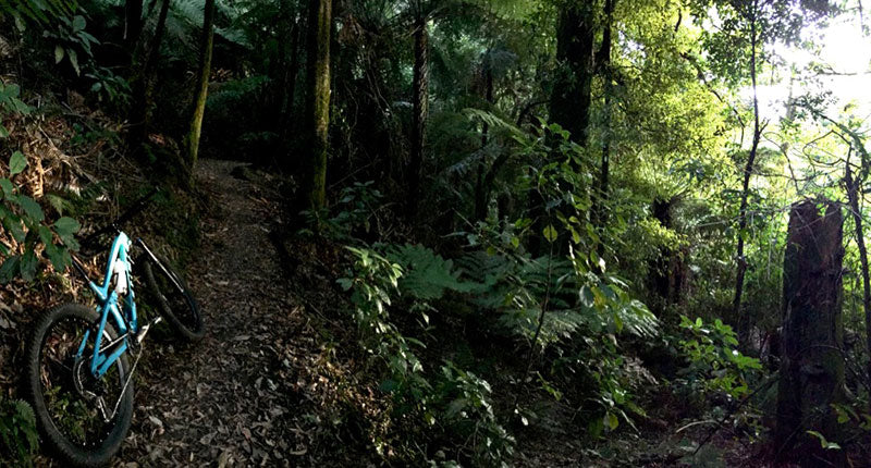 Saving birds and dropping trails