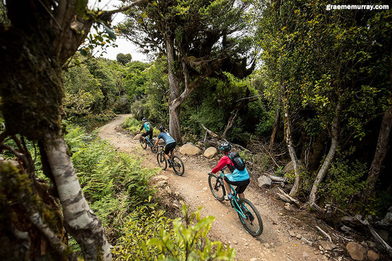 2020 and the state of the sport