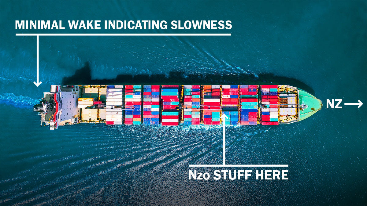 Nzo Annual Report to Stakeholders