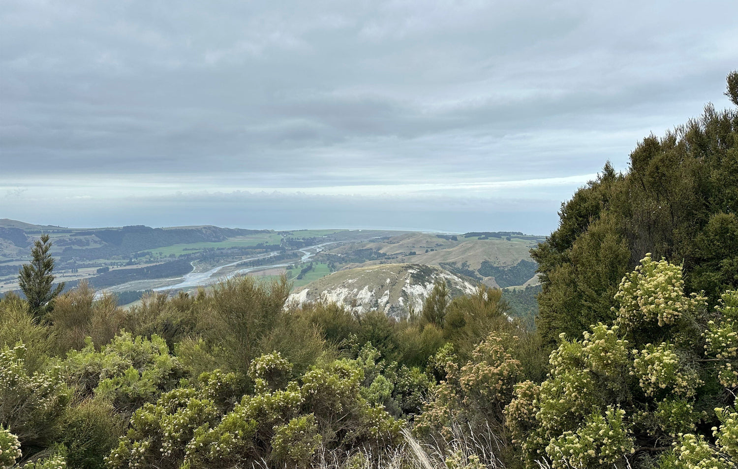 Fresh trails are hard to beat