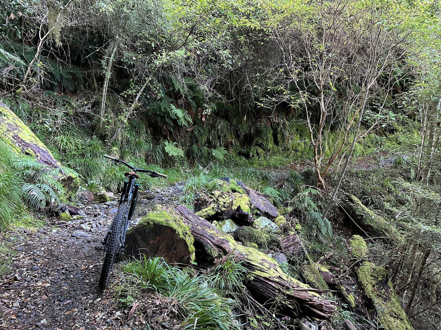 Product testing on location