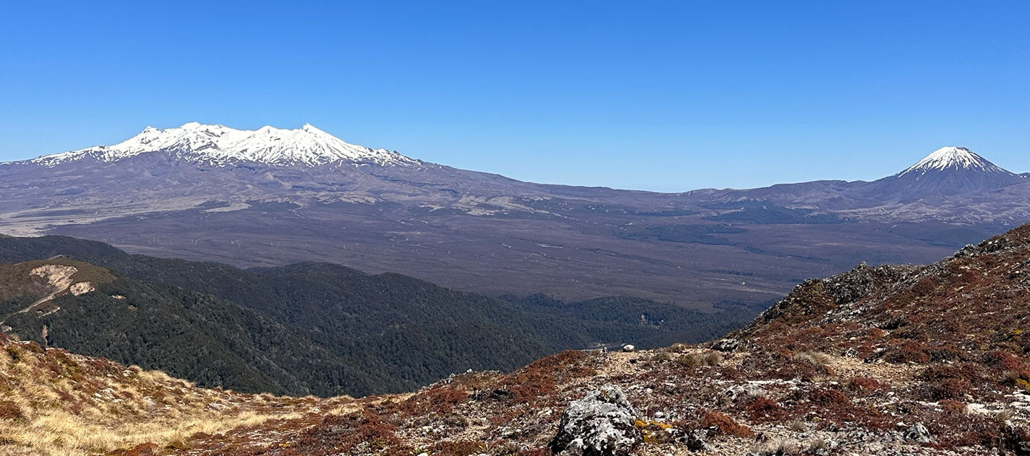 New Zealand's latest great mountain bike ride.