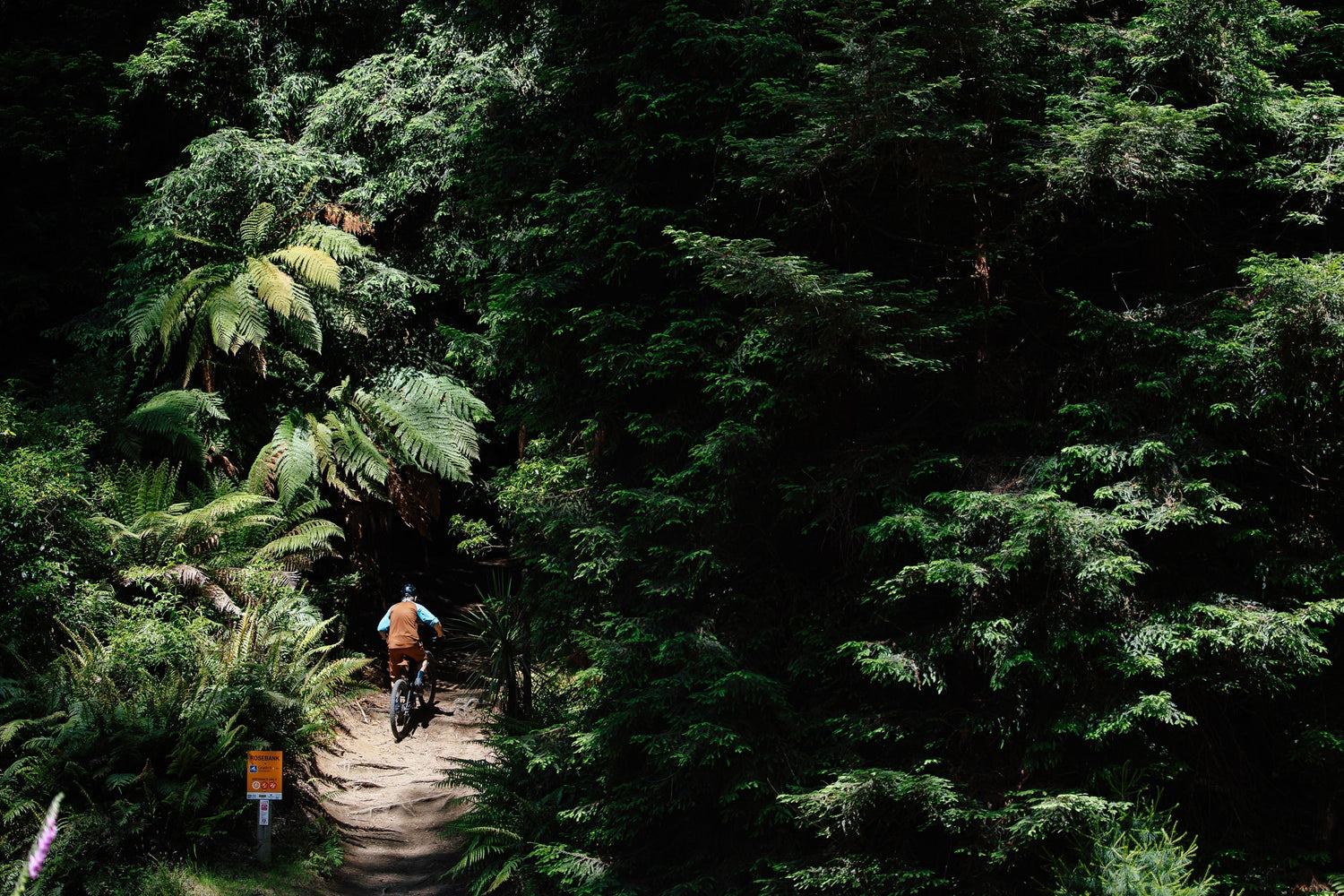 Mountain biking is dirty and dangerous. Until it isn't.