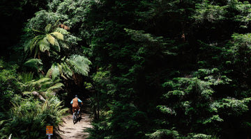 Mountain is dirty and dangerous. Until it isn't.