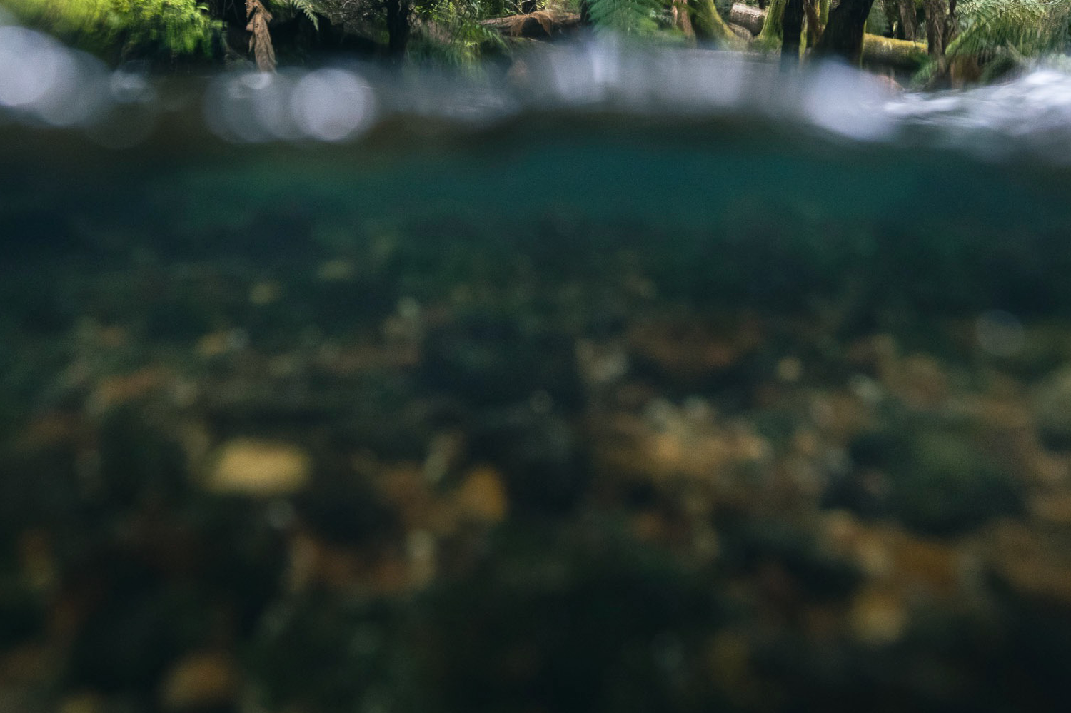 Perseverance and cold feet