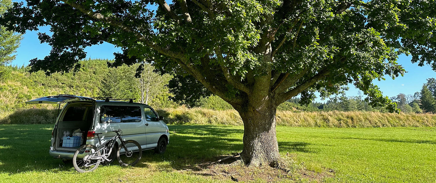 A new year, same old stunts