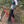 Load image into Gallery viewer, Dusters - Lightweight Mens Trail Pants - black