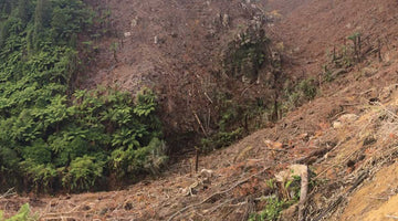 Thoughts on trail muntage