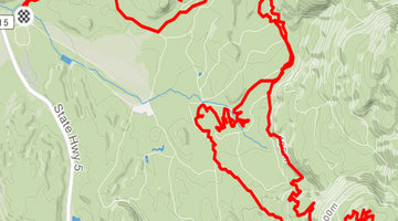 Dusters, a poodle, and three lions