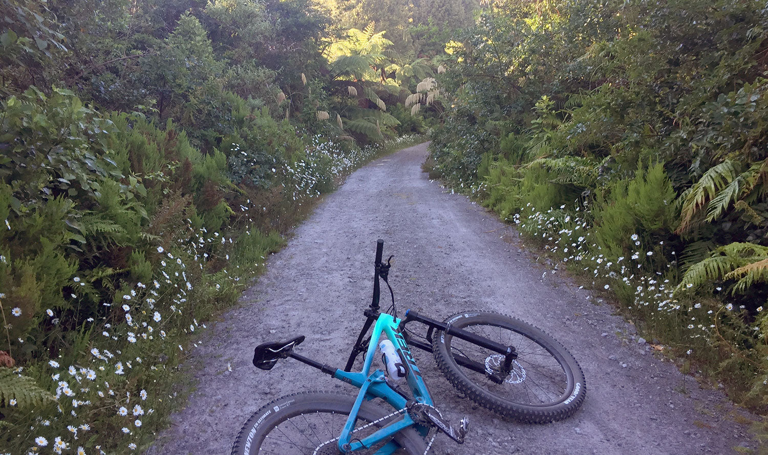 Getting with the programme