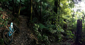 Saving birds and dropping trails