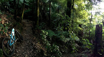 Saving birds and dropping trails