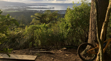 A great place to be a lucky kid