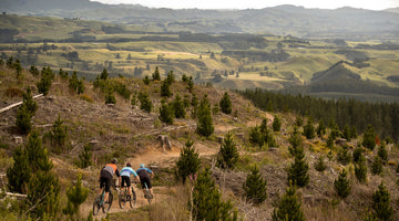 Trees / No Trees / New Trees