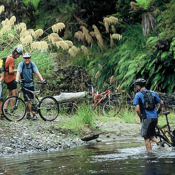 Dobies are twenty-one today!