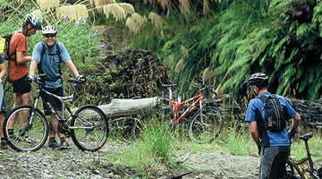 Dobies are twenty-one today!