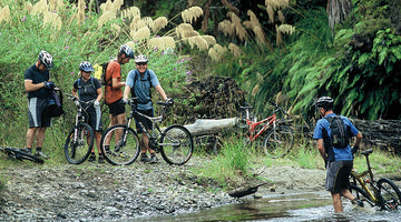 The History of Dobies