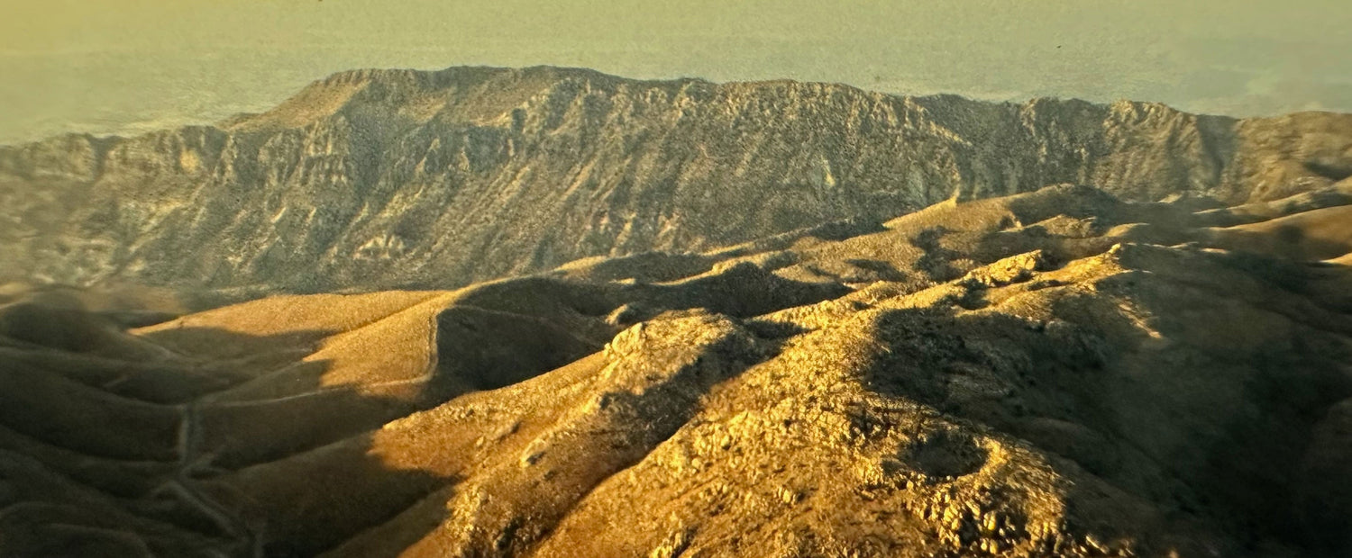 Swapping bikes for carpets