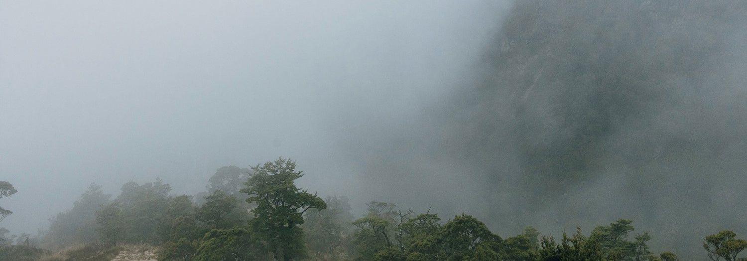 Weather forecasts and reality