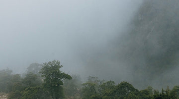 Weather forecasts and reality