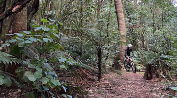 Big weekend in Rotorua