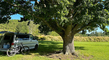 A new year, same old stunts