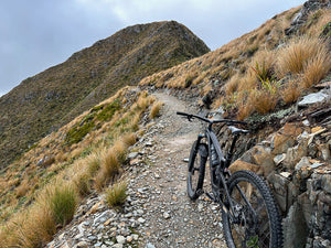 The Paparoa Track