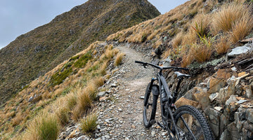 The Paparoa Track