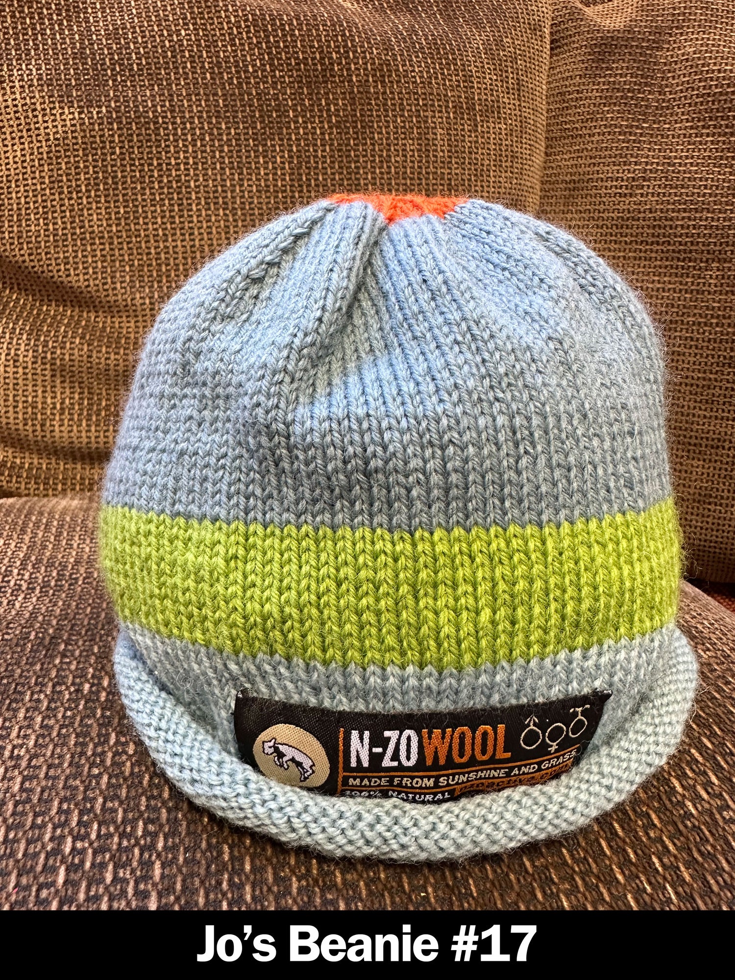 Jo's Handmade Beanie #17